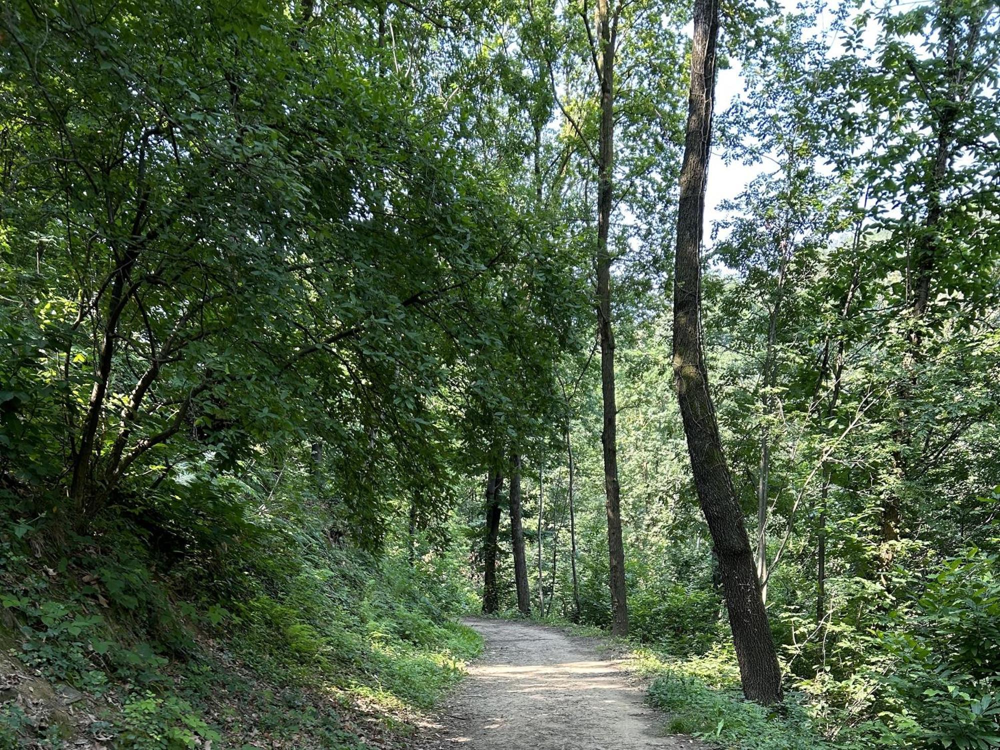 شقة Il Giardino Di Berbech Citta Alta - Castagno بيرغامو المظهر الخارجي الصورة