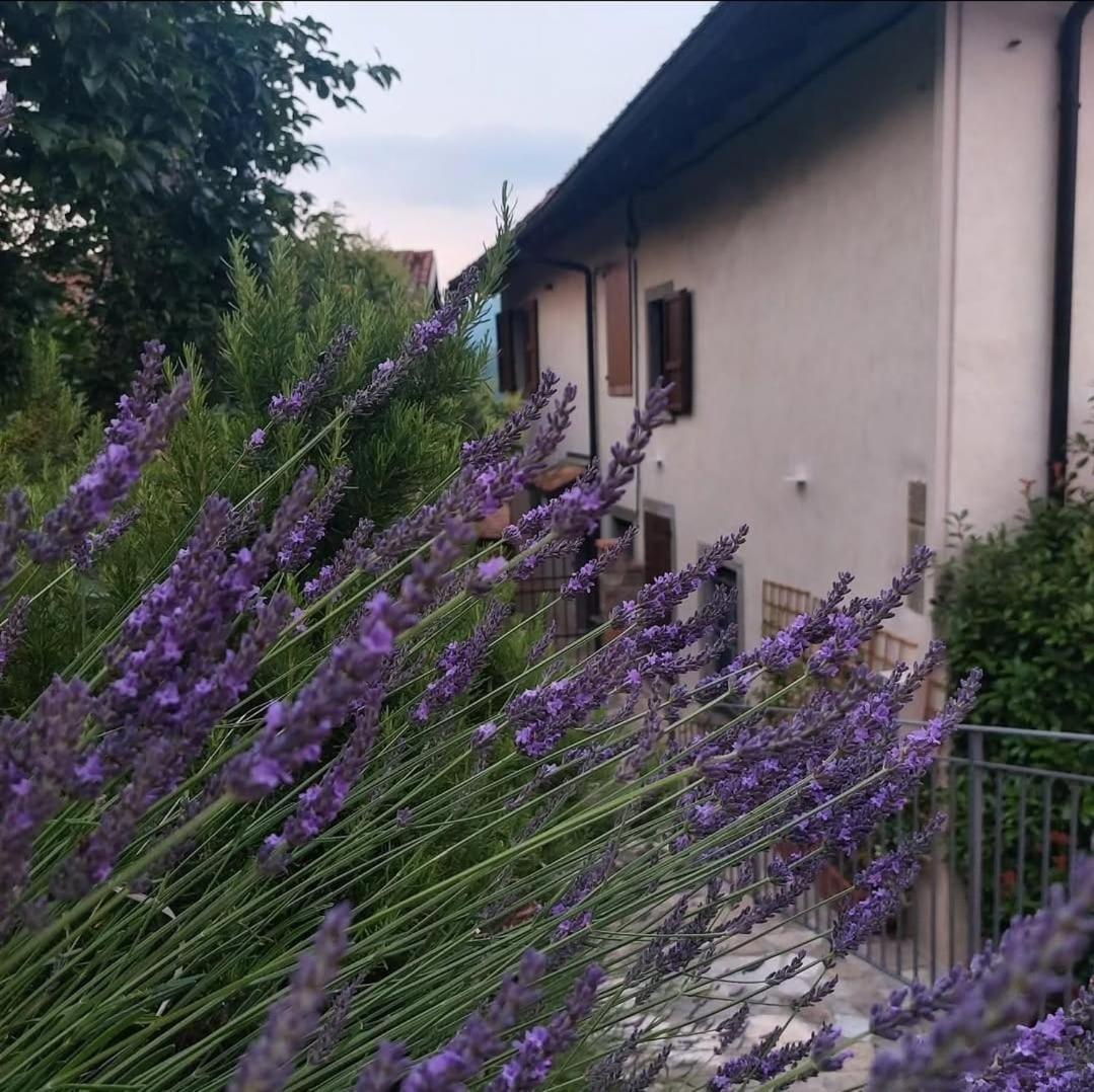 شقة Il Giardino Di Berbech Citta Alta - Castagno بيرغامو المظهر الخارجي الصورة